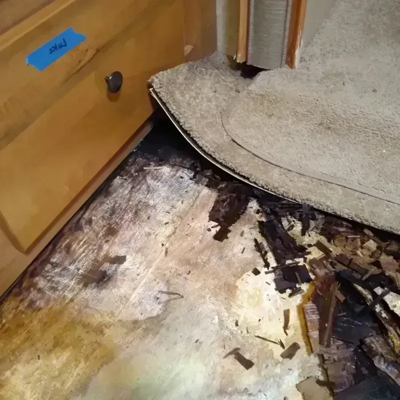 Wood Floor Water Damage in Dade City North, FL